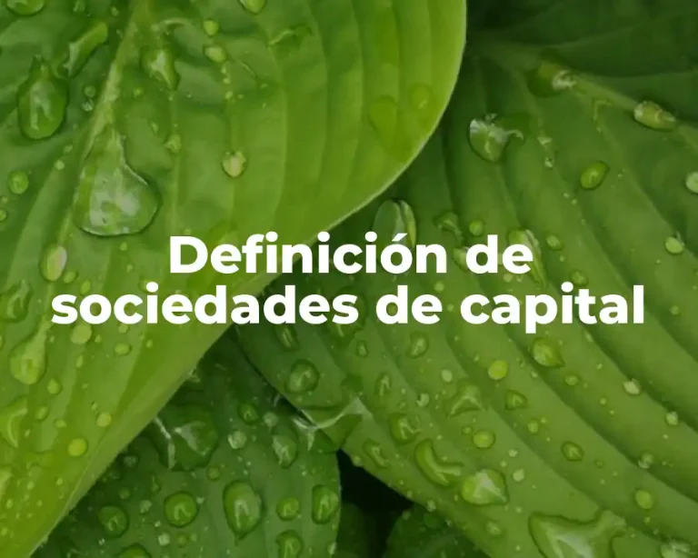 Definición de sociedades de capital