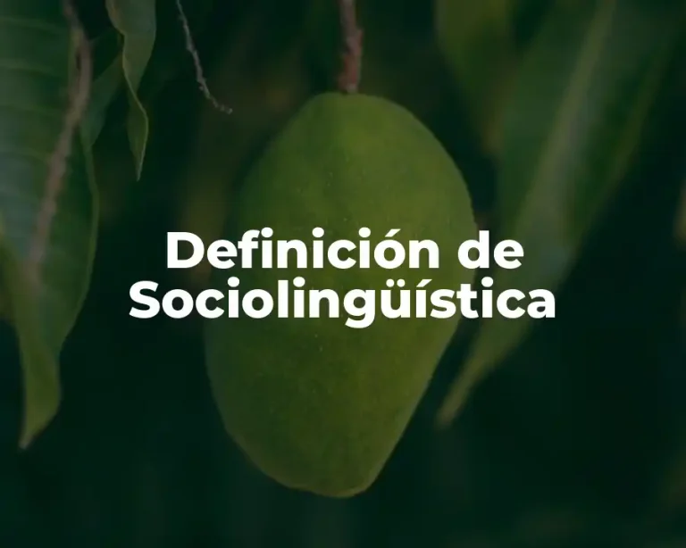 Definición de Sociolingüística