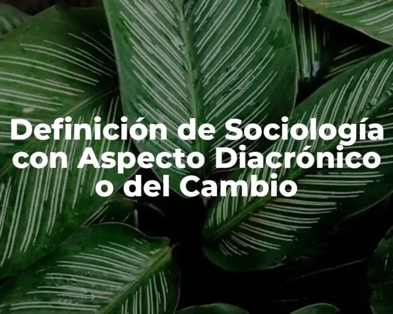Definición de Sociología con Aspecto Diacrónico o del Cambio