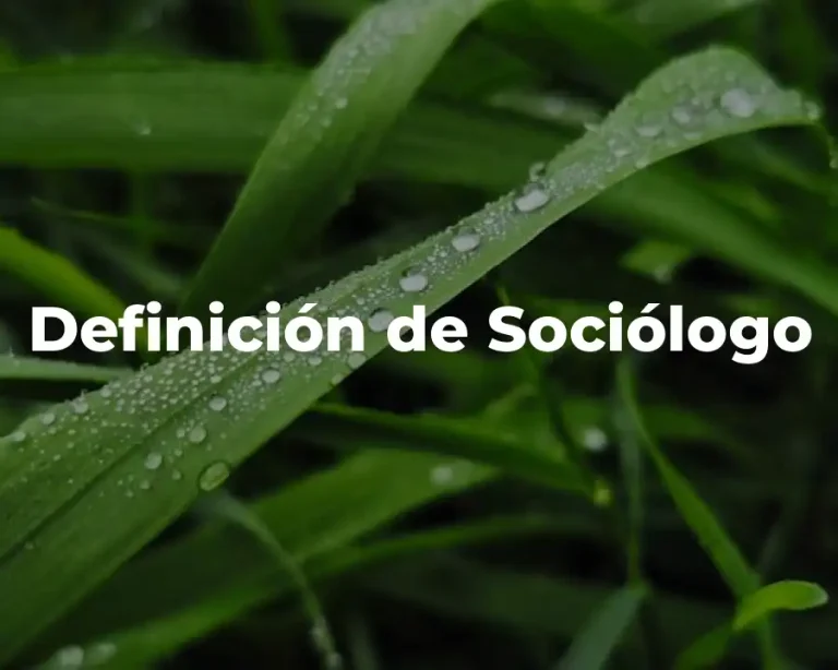 Definición de Sociólogo