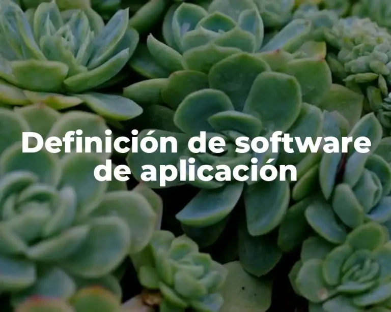 Definición de software de aplicación