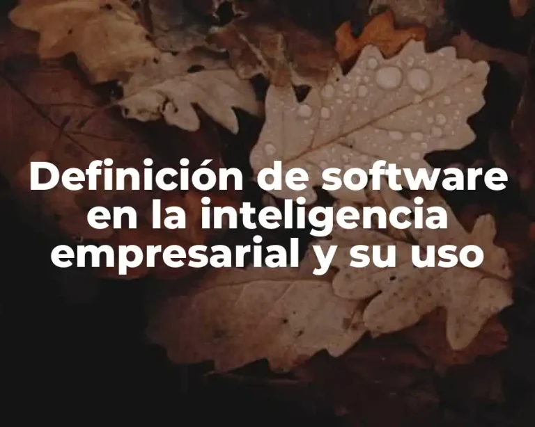 Definición de software en la inteligencia empresarial y su uso