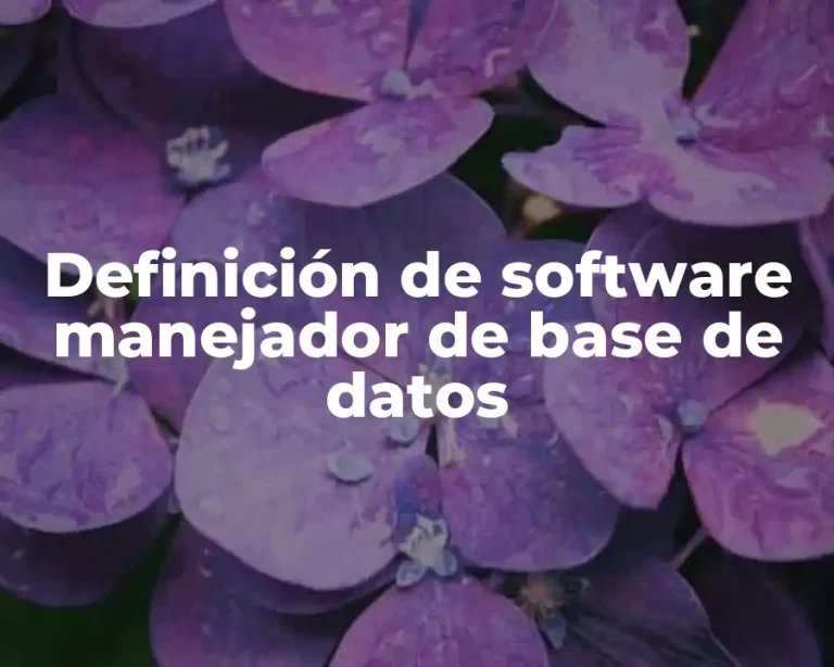 Definición de software manejador de base de datos