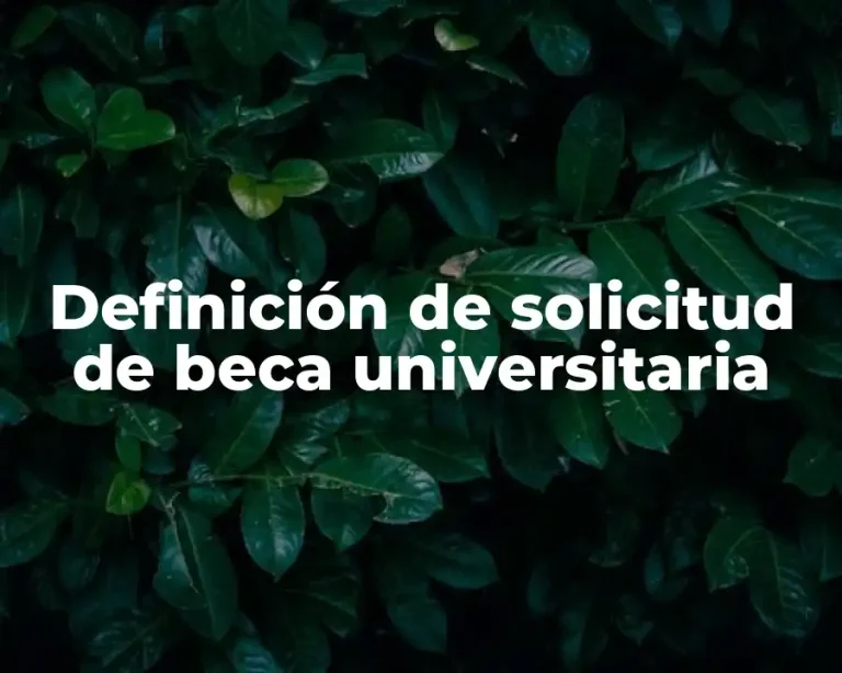 Definición de solicitud de beca universitaria