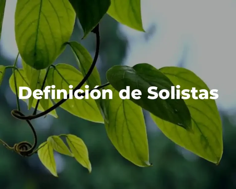 Definición de Solistas