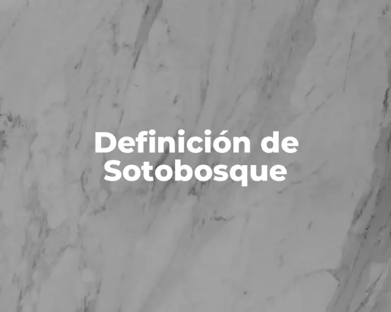 Definición de Sotobosque