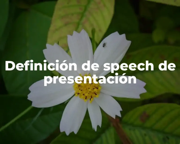 Definición de speech de presentación