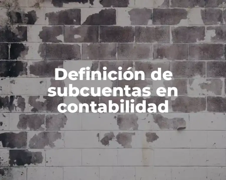 Definición de subcuentas en contabilidad