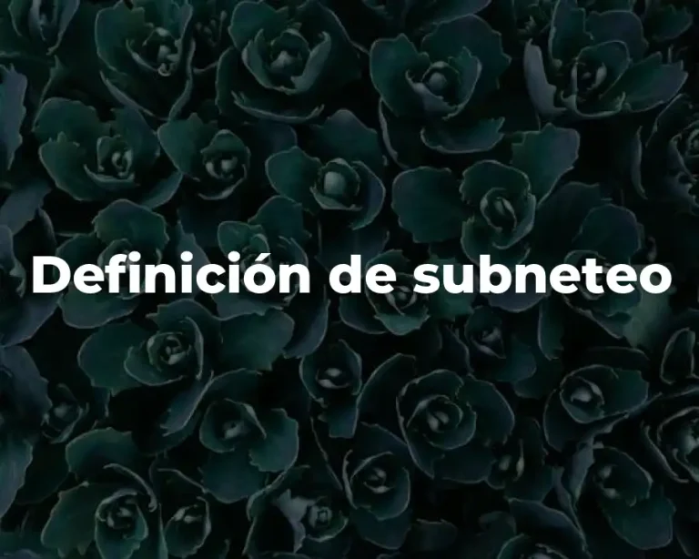 Definición de subneteo