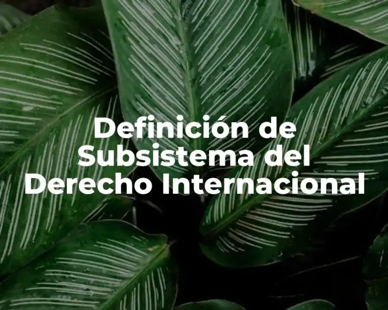 Definición de Subsistema del Derecho Internacional