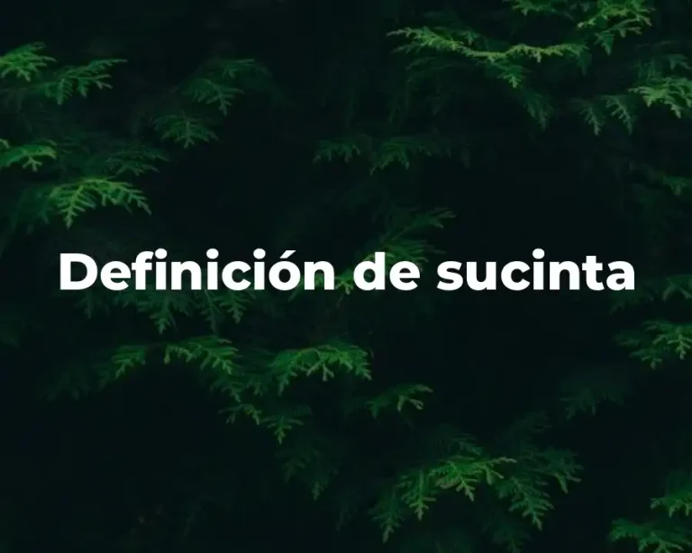 Definición de sucinta