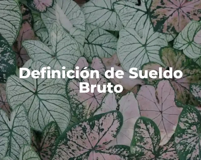 Definición de Sueldo Bruto