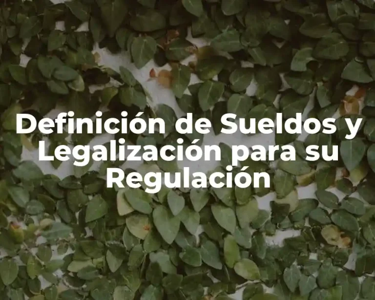 Definición de Sueldos y Legalización para su Regulación