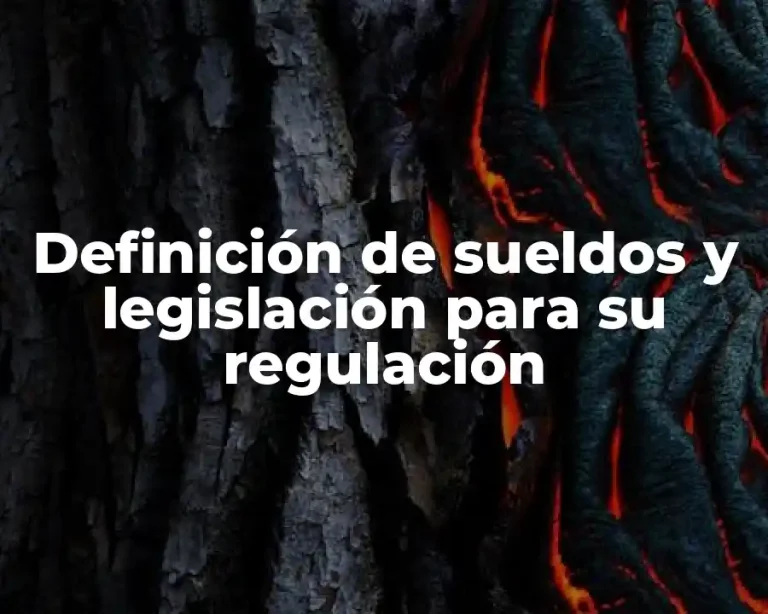 Definición de sueldos y legislación para su regulación