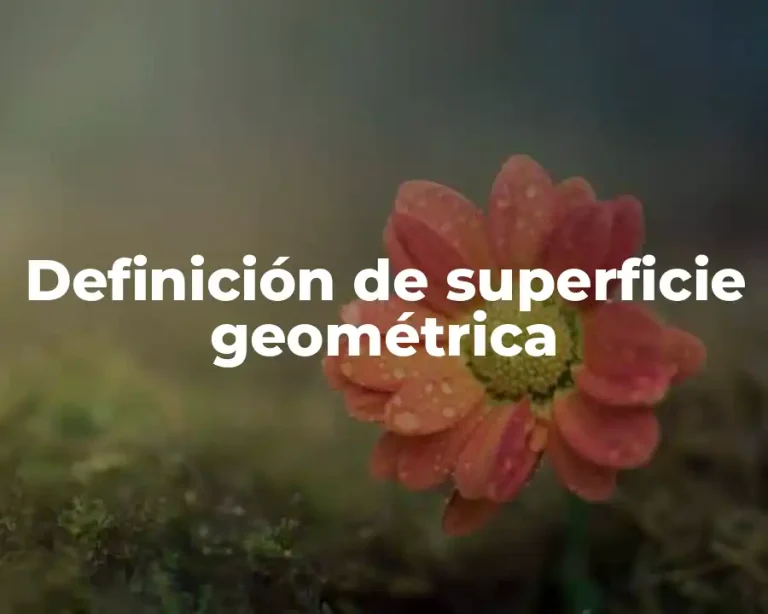 Definición de superficie geométrica