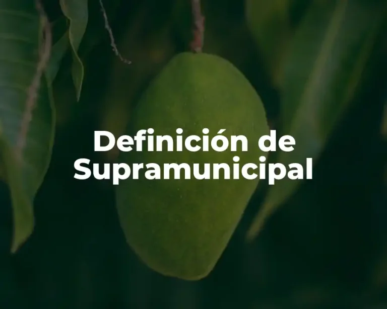Definición de Supramunicipal