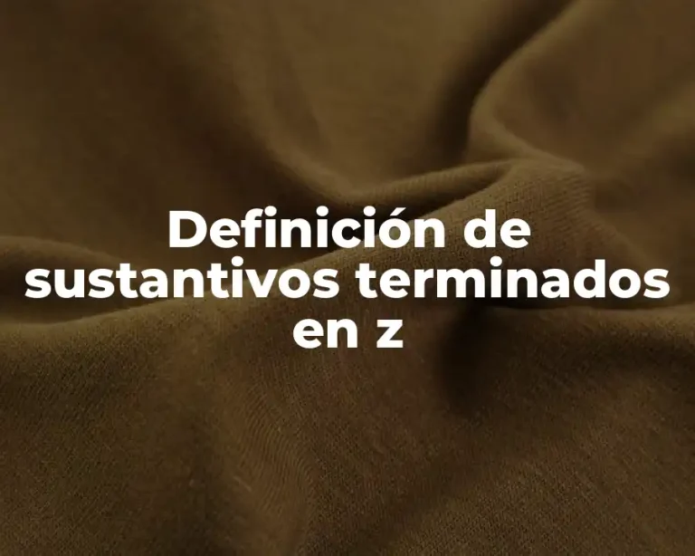 Definición de sustantivos terminados en z