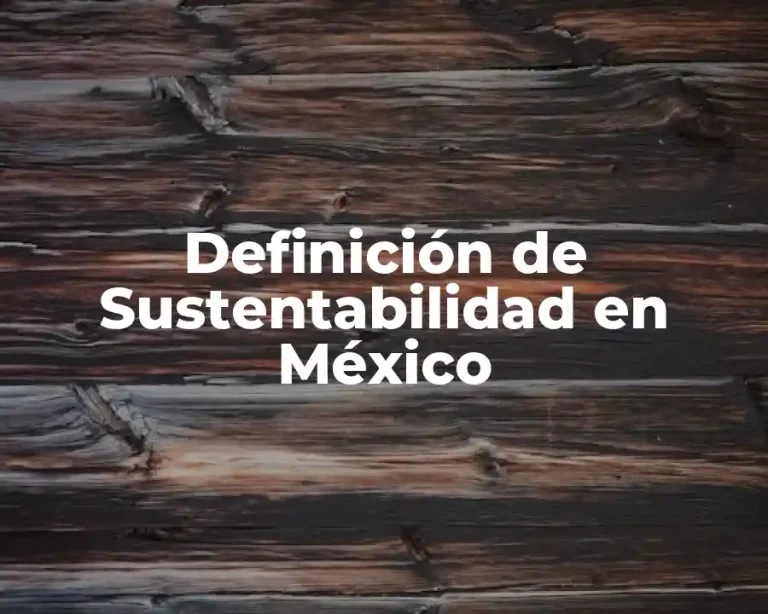 Definición de Sustentabilidad en México