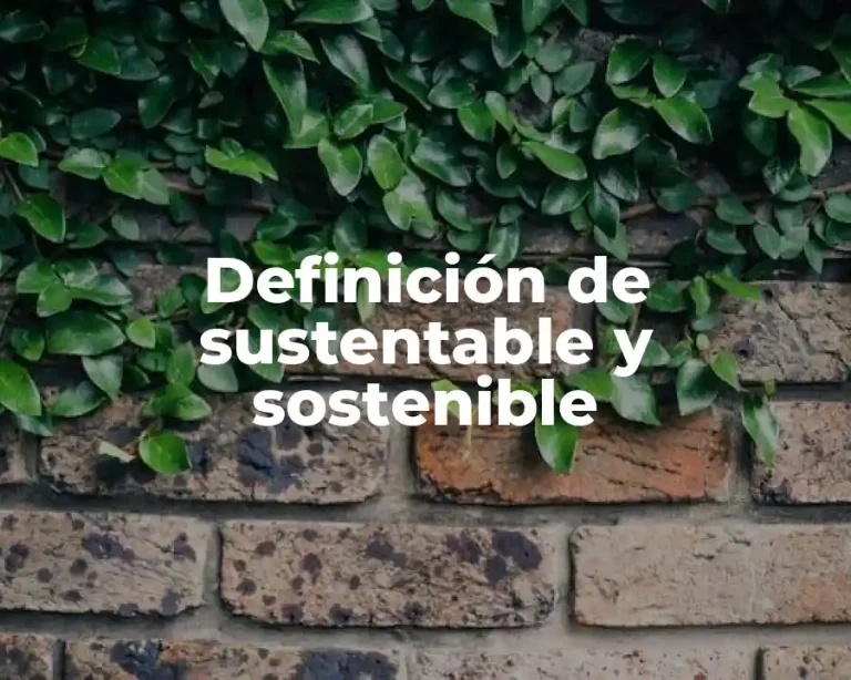 Definición de sustentable y sostenible
