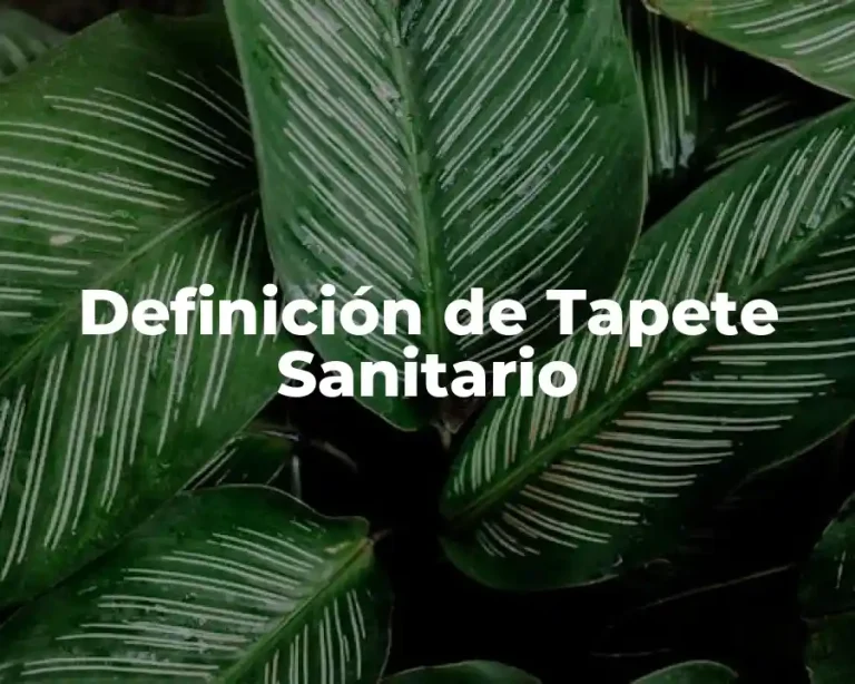Definición de Tapete Sanitario