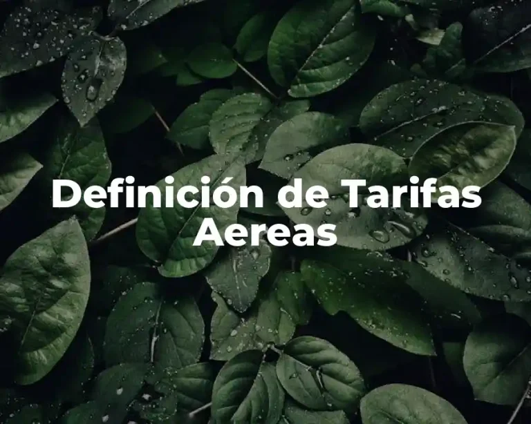 Definición de Tarifas Aereas