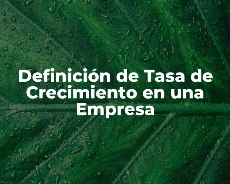 Definición de Tasa de Crecimiento en una Empresa