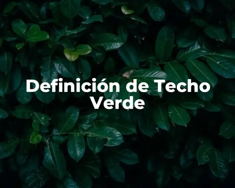 Definición de Techo Verde