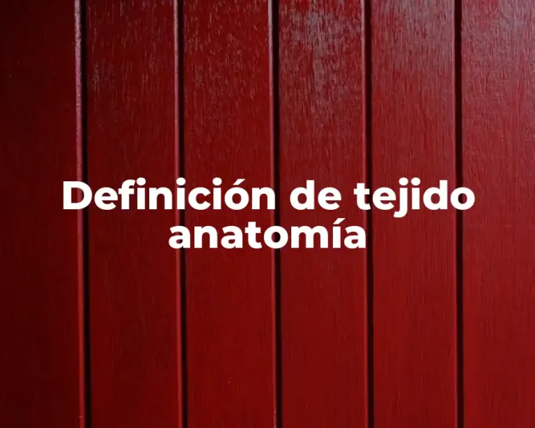 Definición de tejido anatomía