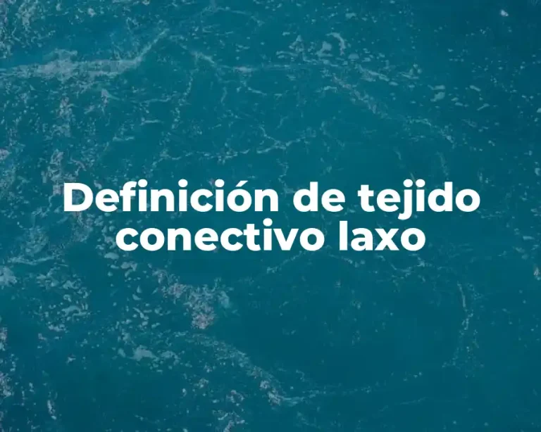 Definición de tejido conectivo laxo