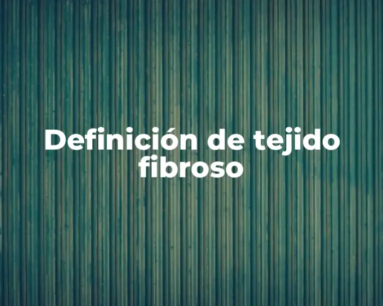 Definición de tejido fibroso