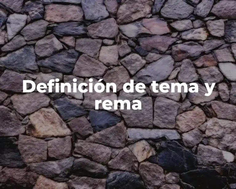 Definición de tema y rema