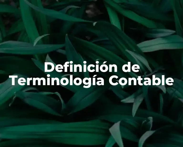Definición de Terminología Contable