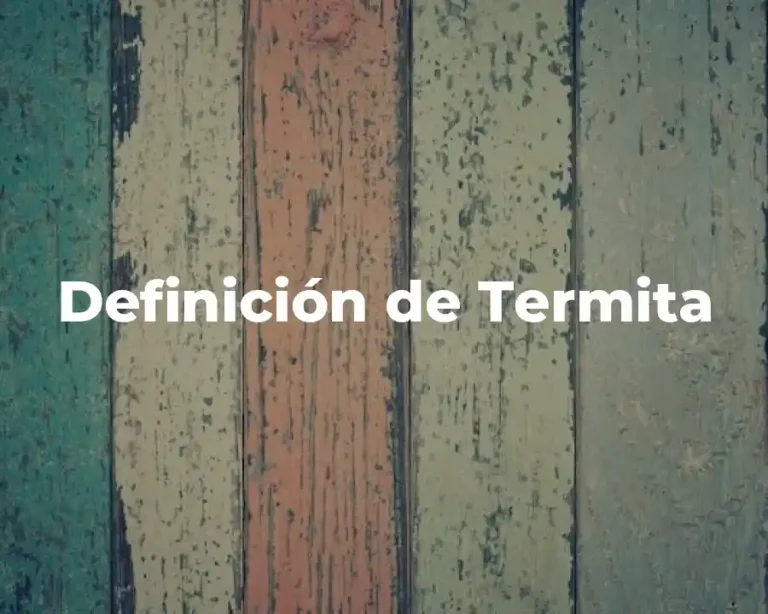Definición de Termita
