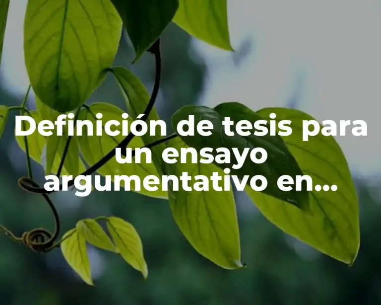 Definición de tesis para un ensayo argumentativo en educación física