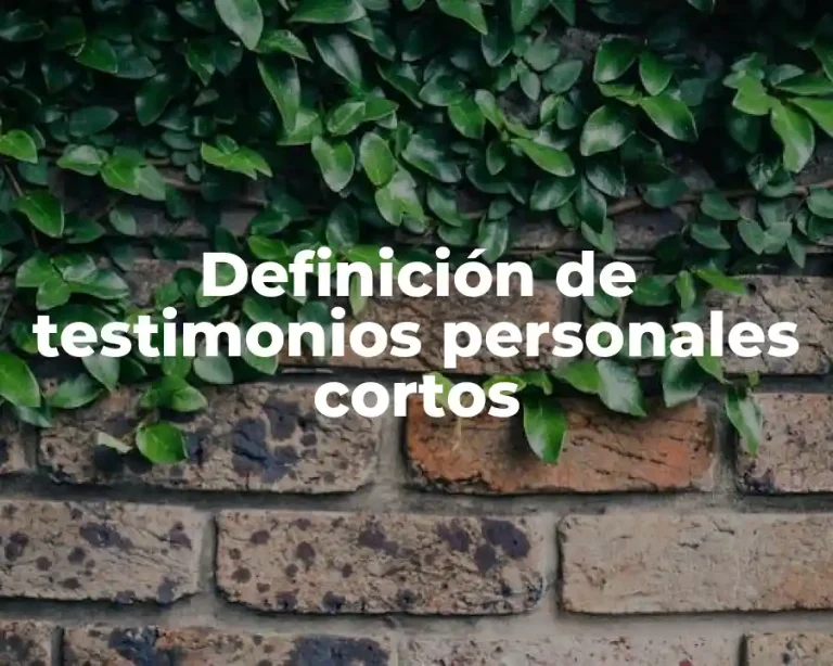 Definición de testimonios personales cortos