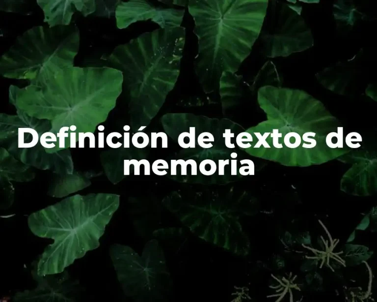 Definición de textos de memoria