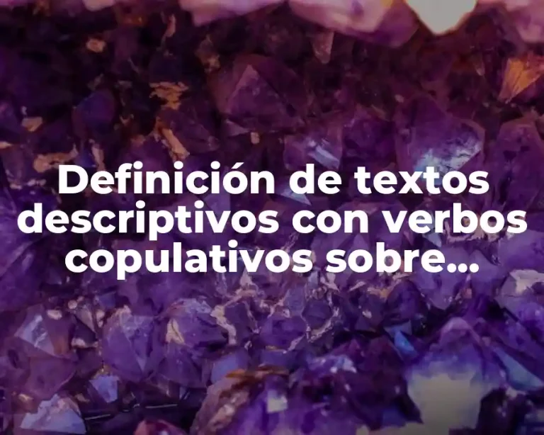 Definición de textos descriptivos con verbos copulativos sobre fenómenos naturales