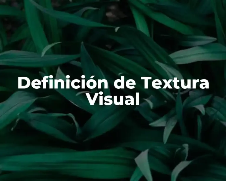 Definición de Textura Visual