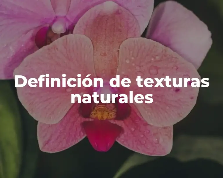 Definición de texturas naturales