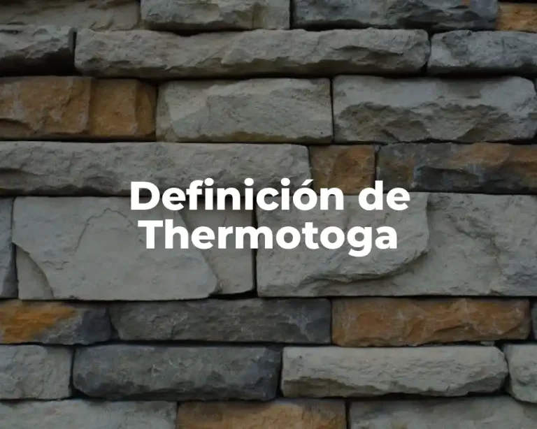 Definición de Thermotoga