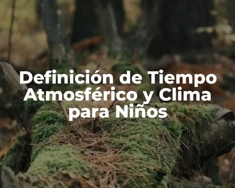 Definición de Tiempo Atmosférico y Clima para Niños