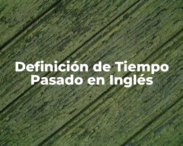 Definición de Tiempo Pasado en Inglés