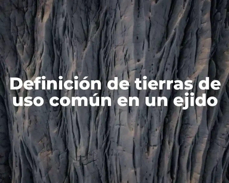 Definición de tierras de uso común en un ejido