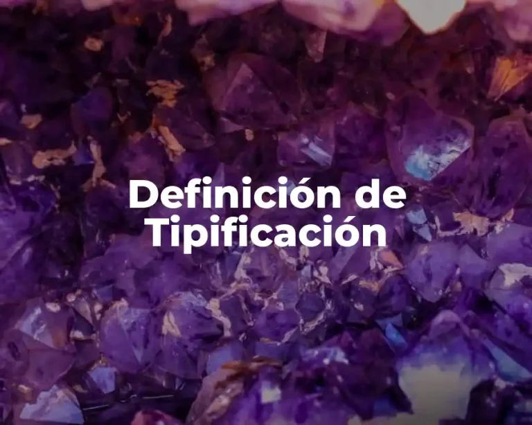 Definición de Tipificación