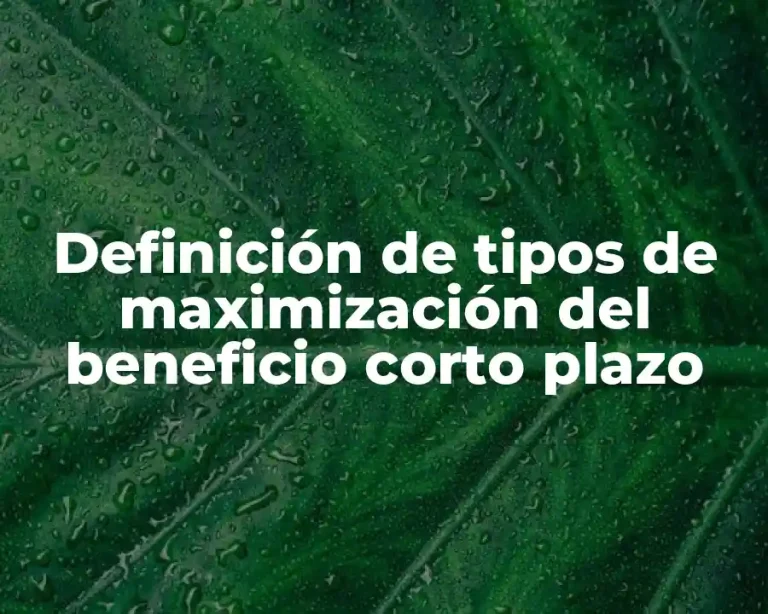 Definición de tipos de maximización del beneficio corto plazo