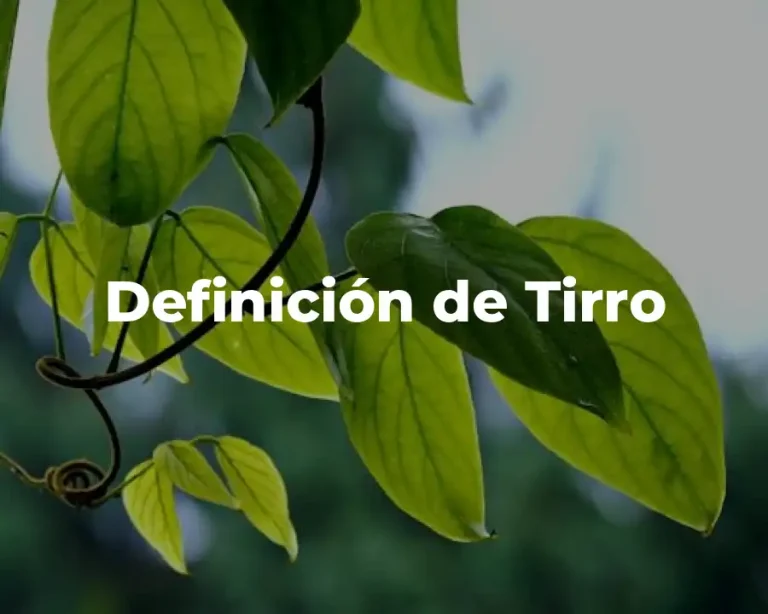 Definición de Tirro