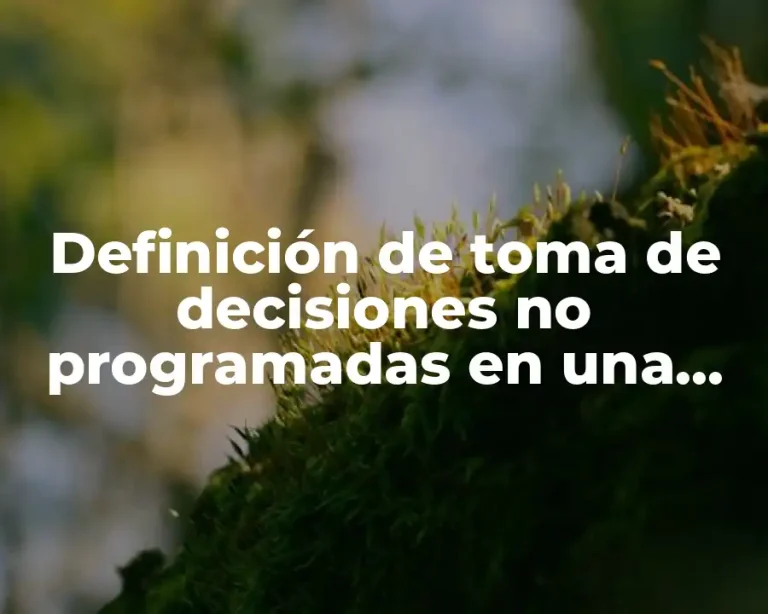 Definición de toma de decisiones no programadas en una empresa