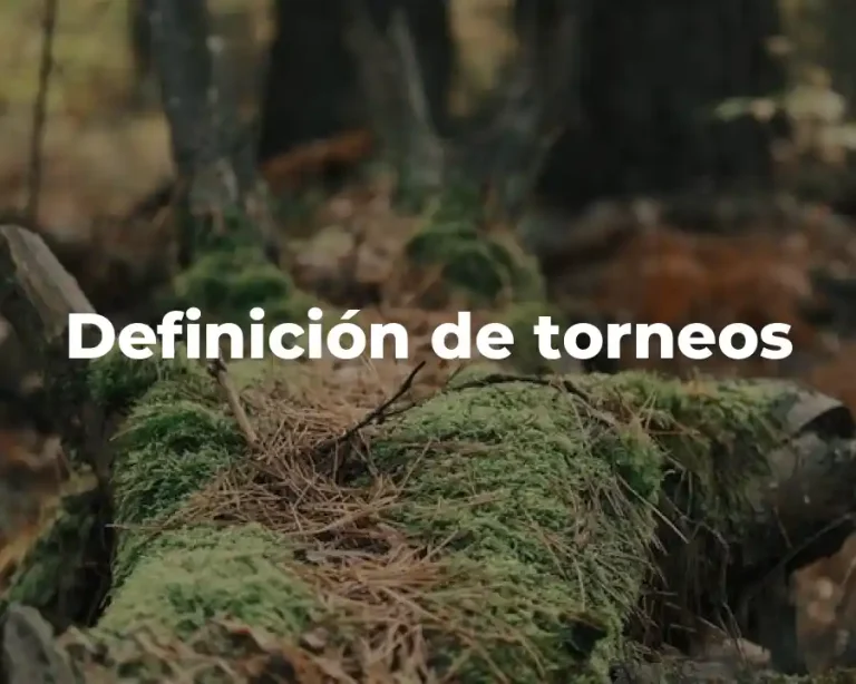 Definición de torneos