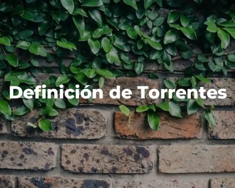 Definición de Torrentes