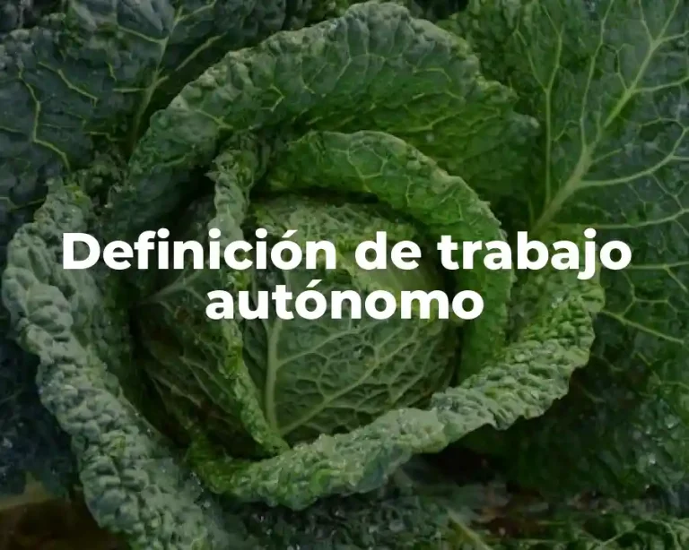 Definición de trabajo autónomo